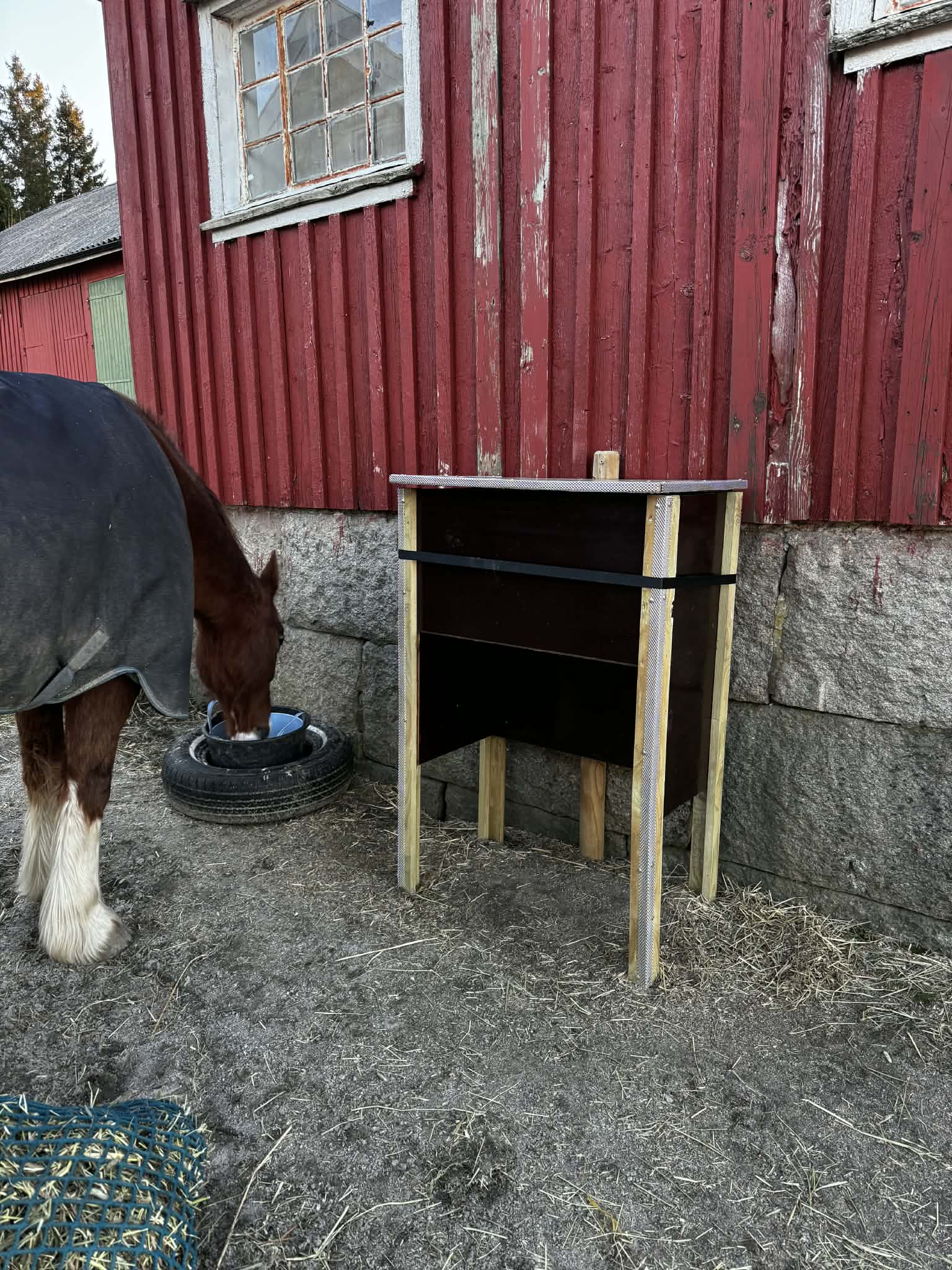 Hest som fôres fra en Kassverk-modul utenfor stallen